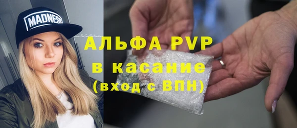 эйфоретик Алексин