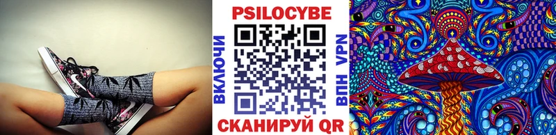 Псилоцибиновые грибы Psilocybine cubensis  Мышкин 